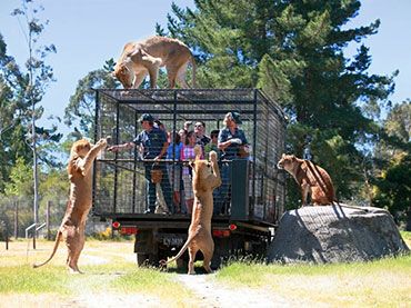 Orana Wildlife Park